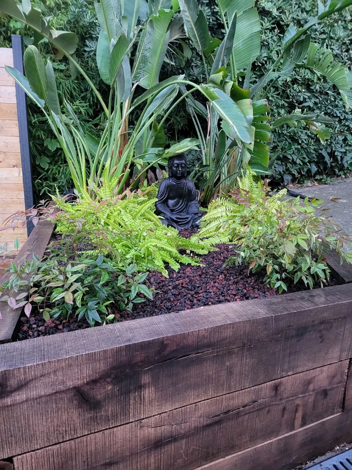 Massif zen planté autour d'une statue de Bouddha